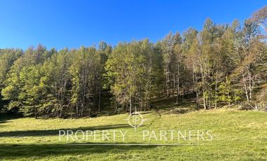 Increíble Campo Menetue ideal para proyecto turístico