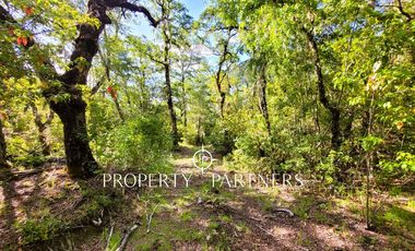 Campo Huililco, Curarrehue