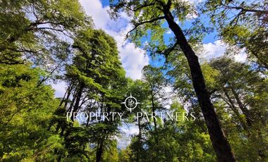 Campo Huililco, Curarrehue