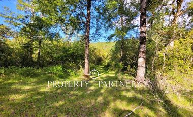 Campo Huililco, Curarrehue