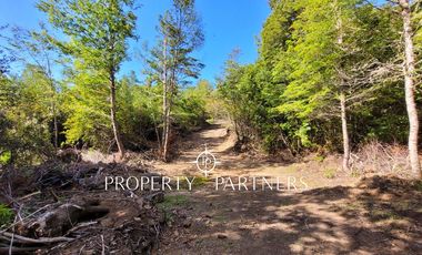 Campo Huililco, Curarrehue