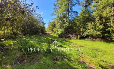 Campo Huililco, Curarrehue