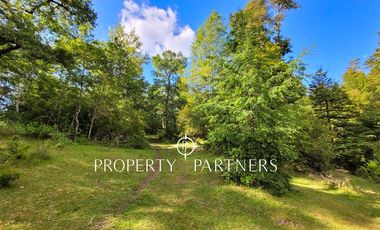 Campo Huililco, Curarrehue