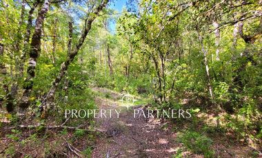 Campo Huililco, Curarrehue