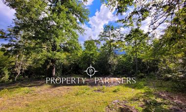 Campo Huililco, Curarrehue