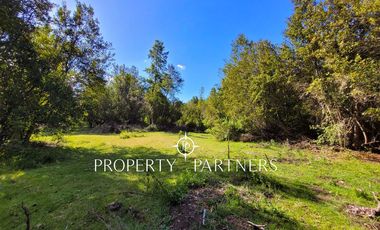 Campo Huililco, Curarrehue