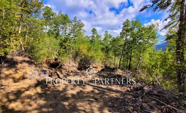 Campo Huililco, Curarrehue