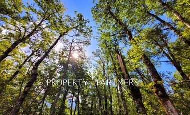 Campo Huililco, Curarrehue