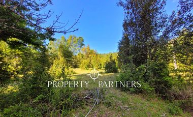 Campo Huililco, Curarrehue