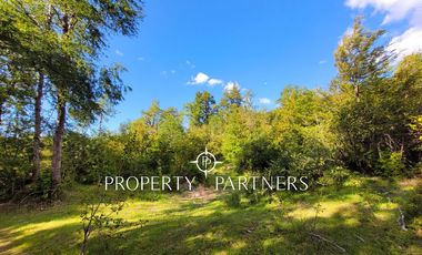 Campo Huililco, Curarrehue