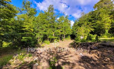 Campo Huililco, Curarrehue