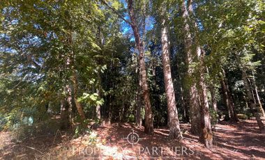 Gran casa en una hectárea de terreno