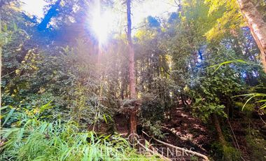 Gran casa en una hectárea de terreno