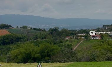 VENTA de LOTES en FLORIDABLANCA