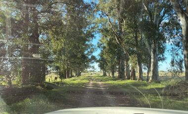 Campo en alquiler - 14 Dormitorios 4 Baños - 50.000Mts2 - Tristán Suarez