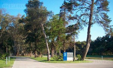 Depósito en Alquiler en  Pilar