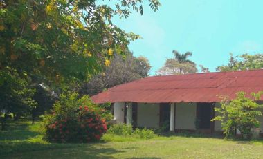 JOYA CON TRADICIÓN, MODERNIDAD Y POSIBILIDADES ILIMITADAS