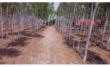 LOTE EN VENTA  EN BARANOA