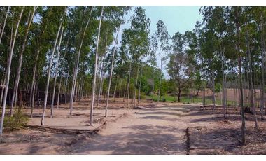 LOTE EN VENTA  EN BARANOA