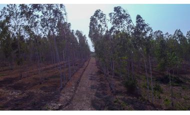 LOTE EN VENTA  EN BARANOA