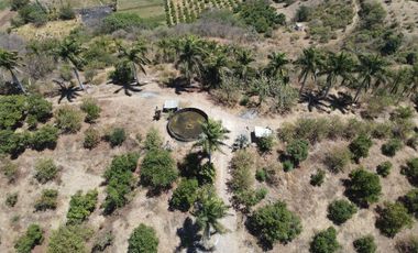 Terreno en Venta 5 minutos de Tepic, Nayarit, a pie de carretera.