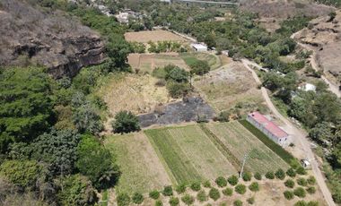 Terreno en Venta 5 minutos de Tepic, Nayarit, a pie de carretera.