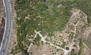 Terreno en Venta 5 minutos de Tepic, Nayarit, a pie de carretera.