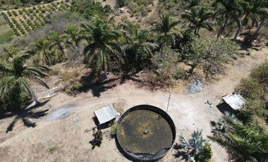 Terreno en Venta 5 minutos de Tepic, Nayarit, a pie de carretera.