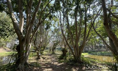 Venta de Casa Residencial en Fraccionamiento Campestre, 4 Recámaras