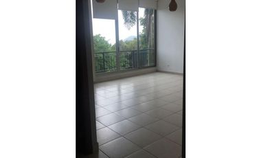 apartamento en cosway   amador alquilo amplio fresco