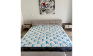 VENTA APARTAMENTO PENTHOUSE PH LAS OLAS VISTA MAR  339MTRS