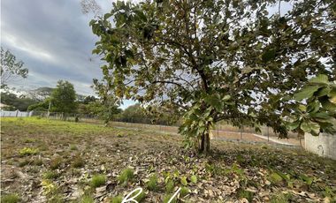 TERRENO MUY CERCA DE LA PLAYA EN VENTA, SANTA CLARA (2)