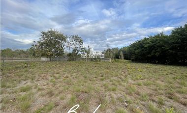 TERRENO MUY CERCA DE LA PLAYA EN VENTA, SANTA CLARA (2)