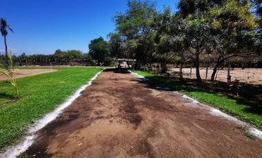 Terreno Campestre en Luces en el Mar Coyuca de Benítez - CAEN-An-1125-Tca