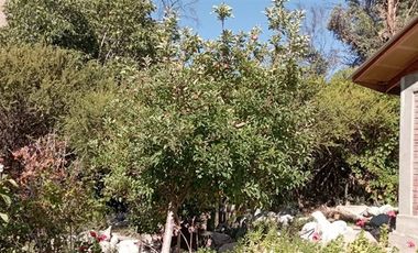 Sitio en Venta en cochihuaz