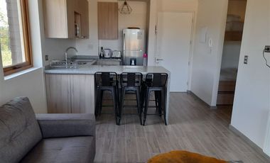 Departamento en Arriendo en Condominio Los Castaños de Alicura