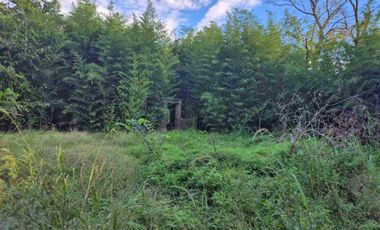 VENTA DE TERRENO EN MASCHWITZ