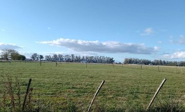 TERRENO EXCELENTE OPORTUNIDAD SAN MIGUEL DEL MONTE