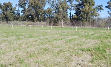 TERRENO EXCELENTE OPORTUNIDAD SAN MIGUEL DEL MONTE