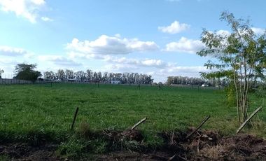 TERRENO EXCELENTE OPORTUNIDAD SAN MIGUEL DEL MONTE