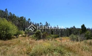 Parcela en Venta en Ruta Los Conquistadores - Los Quillayes