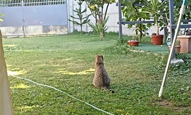 Sitio en Venta en KILOMETRO 19 CAMINO AL ENVALSE BULLILEO PARRAL