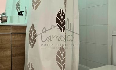 PROYECTO PALMAS DE PEÑUELA