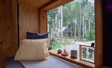 TINY HOUSE AMOBLADA EN PARCELA CON HERMOSO BOSQUE NATIVO