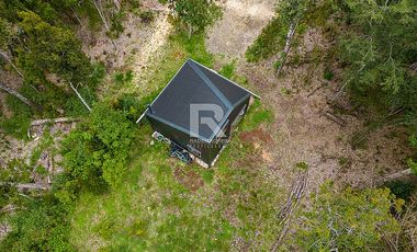 TINY HOUSE AMOBLADA EN PARCELA CON HERMOSO BOSQUE NATIVO