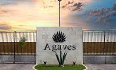 TERRENO EN VENTA EN EL CARDENCHAL TORREON COAH