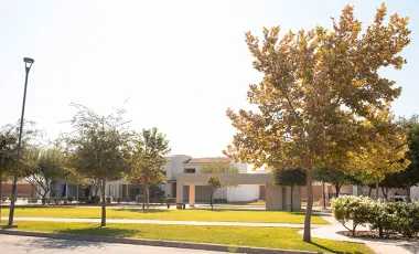 TERRENO EN VENTA EN EL CARDENCHAL TORREON COAH