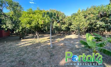 En venta finca productiva con excelente ubicacion