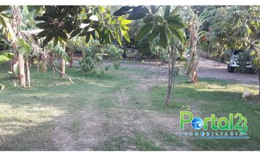 En venta finca productiva con excelente ubicacion