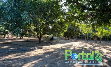 En venta finca productiva con excelente ubicacion